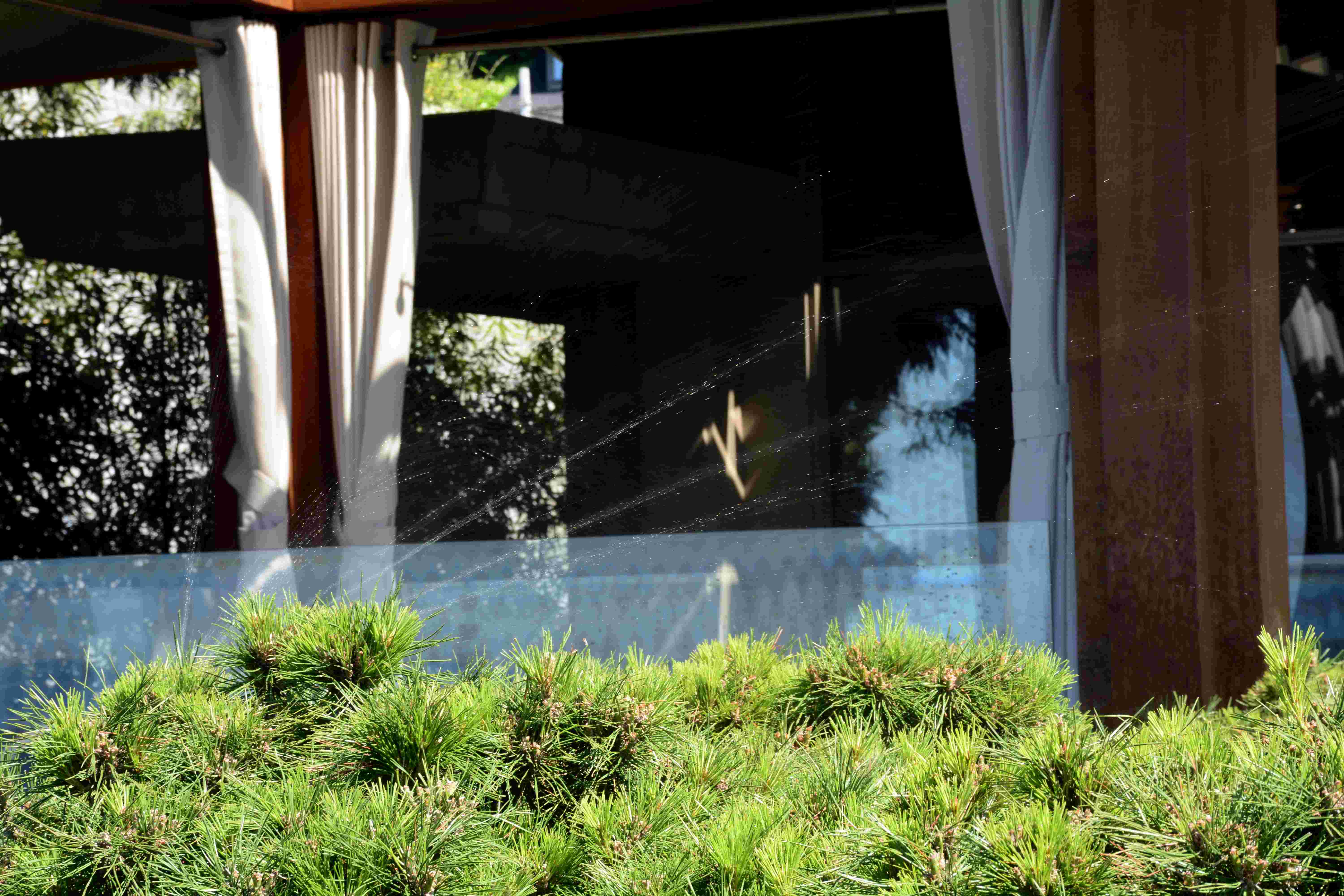 Thrive irrigation project photo 6